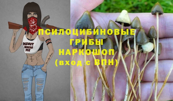 мяу мяу мука Алексин