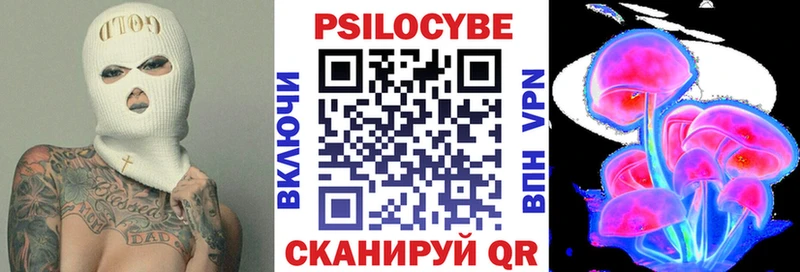 Псилоцибиновые грибы Psilocybe  Арск 